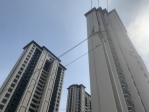 国贸学原